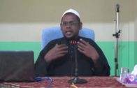 Ustaz Halim Hassan || Isu Tasawuf Melampau & Perarakan Maulid Nabi Saw