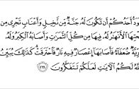Ustaz Muhammad Faiz : Bacaan Surah Al-Baqarah Ayat 266