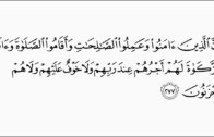 Ustaz Muhammad Faiz :Surah Baqarah Ayat 276-278