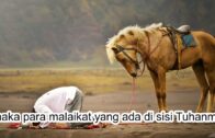 Ustaz Ahmad Hasyimi : Bacaan Surah Fussilat Ayat 37-38